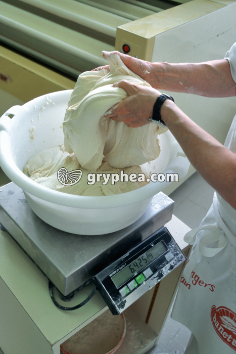 Pesage de la pâte - gryphea.com